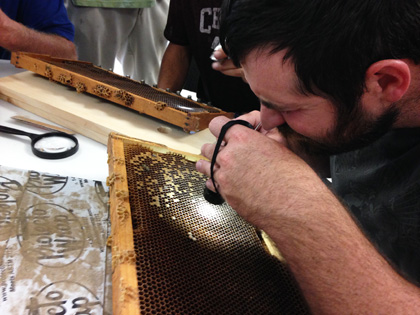 Student Examines Frame